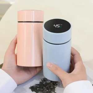 Tasse Stanl en acier inoxydable, bouteille d'eau, flacons sous vide, gobelet thermique, froid et chaud, flacons sous vide, Thermo et salle à manger